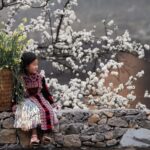 Ngỡ Ngàng Ngắm Đá Nở Hoa Khi Về Hà Giang Mùa Xuân Này