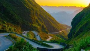 Hoa Đào Hà Giang Nở Khi Nào? Tìm Hiểu Mùa Hoa Đẹp Nhất Nơi Địa Đầu Tổ Quốc