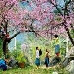 Khám Phá Tập Tục Tết Sớm Của Đồng Bào Dân Tộc Ở Hà Giang