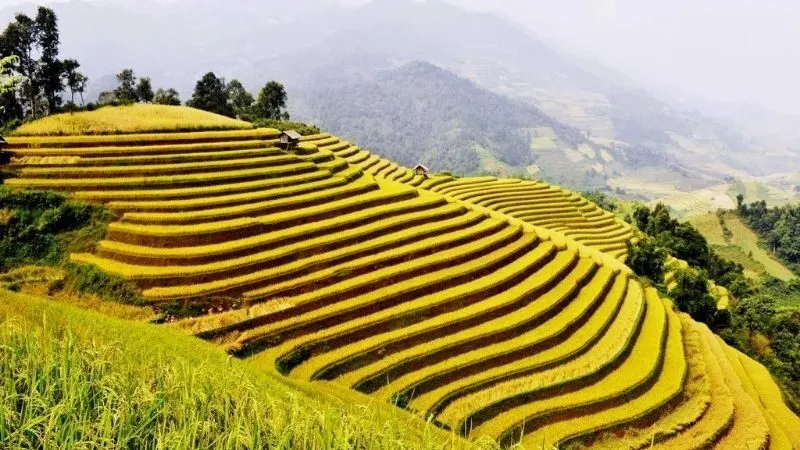 Khung cảnh sương mù giăng kín, biến ruộng bậc thang thành một bức tranh thiên nhiên kỳ ảo.