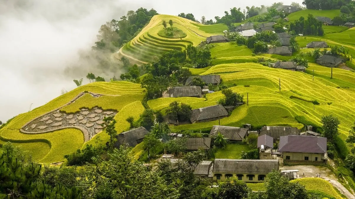 Hình ảnh ruộng bậc thang hùng vĩ tại Hoàng Sù Phì