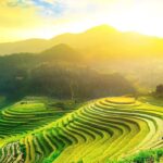 Hoàng Su Phì Thiên Đường Mùa Nước Đổ 2024 Hành Trình Khám Phá Vẻ Đẹp Tuyệt Vời