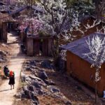 Thăm Phó Bảng – Ngôi Làng Hàn Quốc Giữa Hà Giang