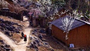 Thăm Phó Bảng – Ngôi Làng Hàn Quốc Giữa Hà Giang