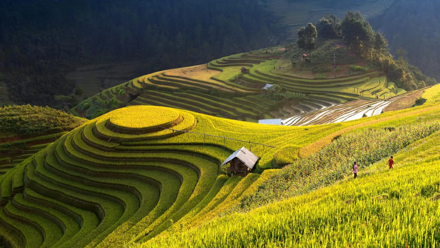 Hoàng Su Phì nổi tiếng với những thửa ruộng bậc thang trải dài mênh mông